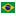 Flag of Português-Brasil